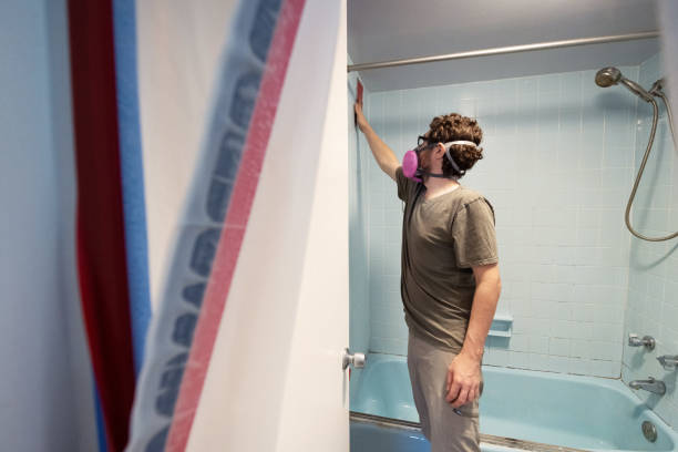 Reliable Red Lake, AZ Mold Removal Solutions
