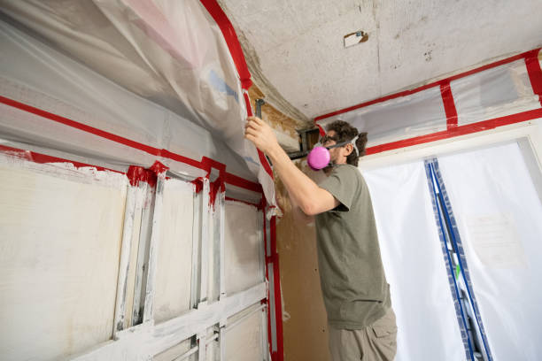 Best Crawl Space Mold Remediation  in Red Lake, AZ