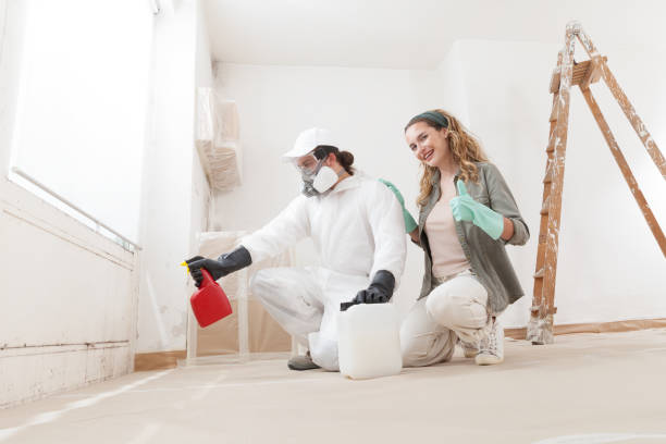 Best Mold Damage Restoration  in Red Lake, AZ
