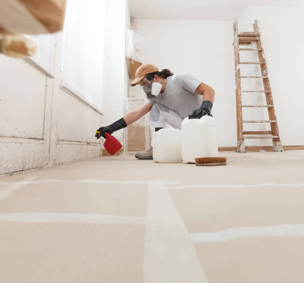 Best Post-Construction Mold Inspection  in Red Lake, AZ
