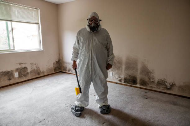Mold Documentation for Insurance Claims in Red Lake, AZ